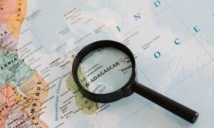 Search Strategy for a World Where Algorithms Read Differently