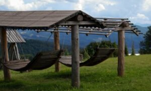 Why Timber Pergolas Remain the Gold Standard for Outdoor Structures