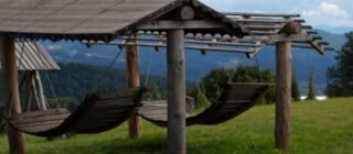Why Timber Pergolas Remain the Gold Standard for Outdoor Structures