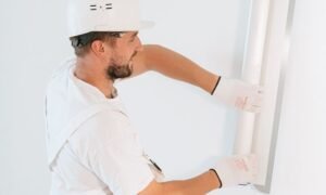 What a NSW Contractor’s Licence Mean When You Hire a Building Company in Sydney?